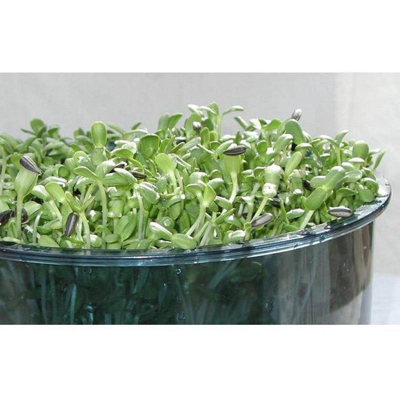 Tribest Freshlife FL-3000-A Automatic Sprouter-Extreme Wellness Supply
