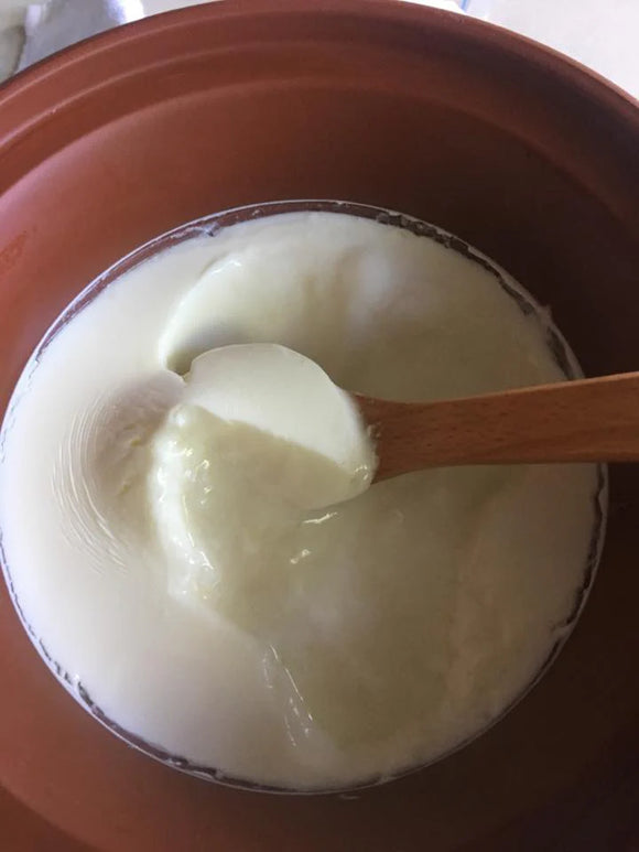 VITACLAY NourishingPot™- VM1688-9