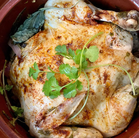 VITACLAY NourishingPot™- VM1688-9